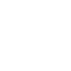 icon-trans-adj
