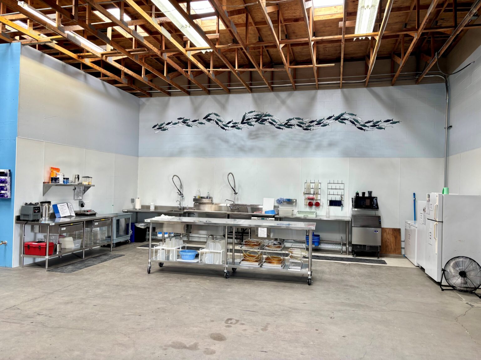 Meylan Construction - Marine Mammal Center Care Facility Construction - Fish Kitchen